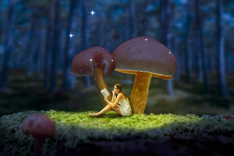 Enchanted Moments