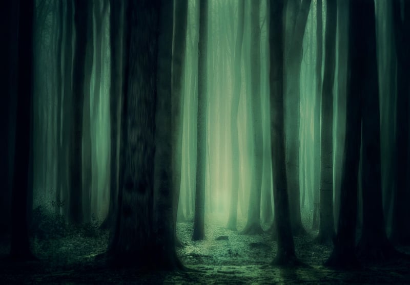 Mystical Gardens