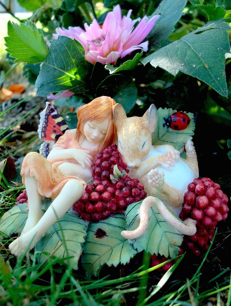 Whimsical Shots